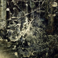 /album/fotogaleria-simbiotic/ii-003-jpg/